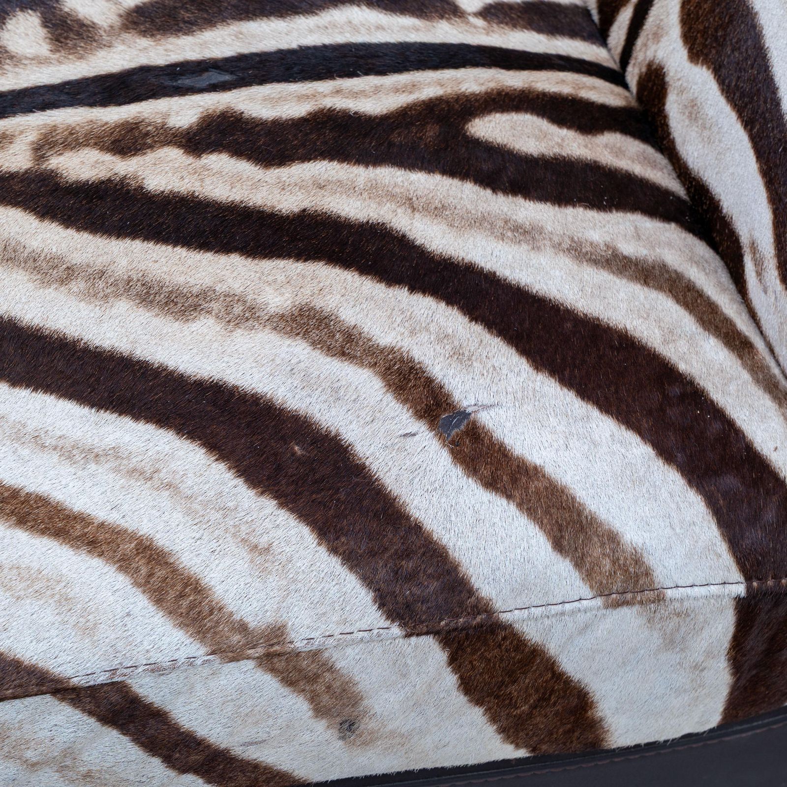 photo furniture Italian Chaise Longue Cowhide With Zebra Pattern, 1980s