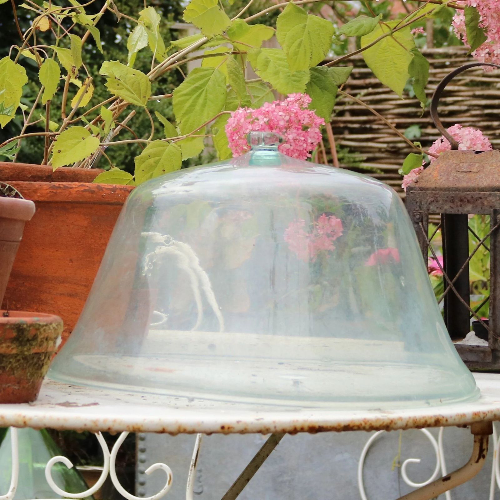 Early 20th Century French Hand Blown Glass Garden Cloche photo for sale