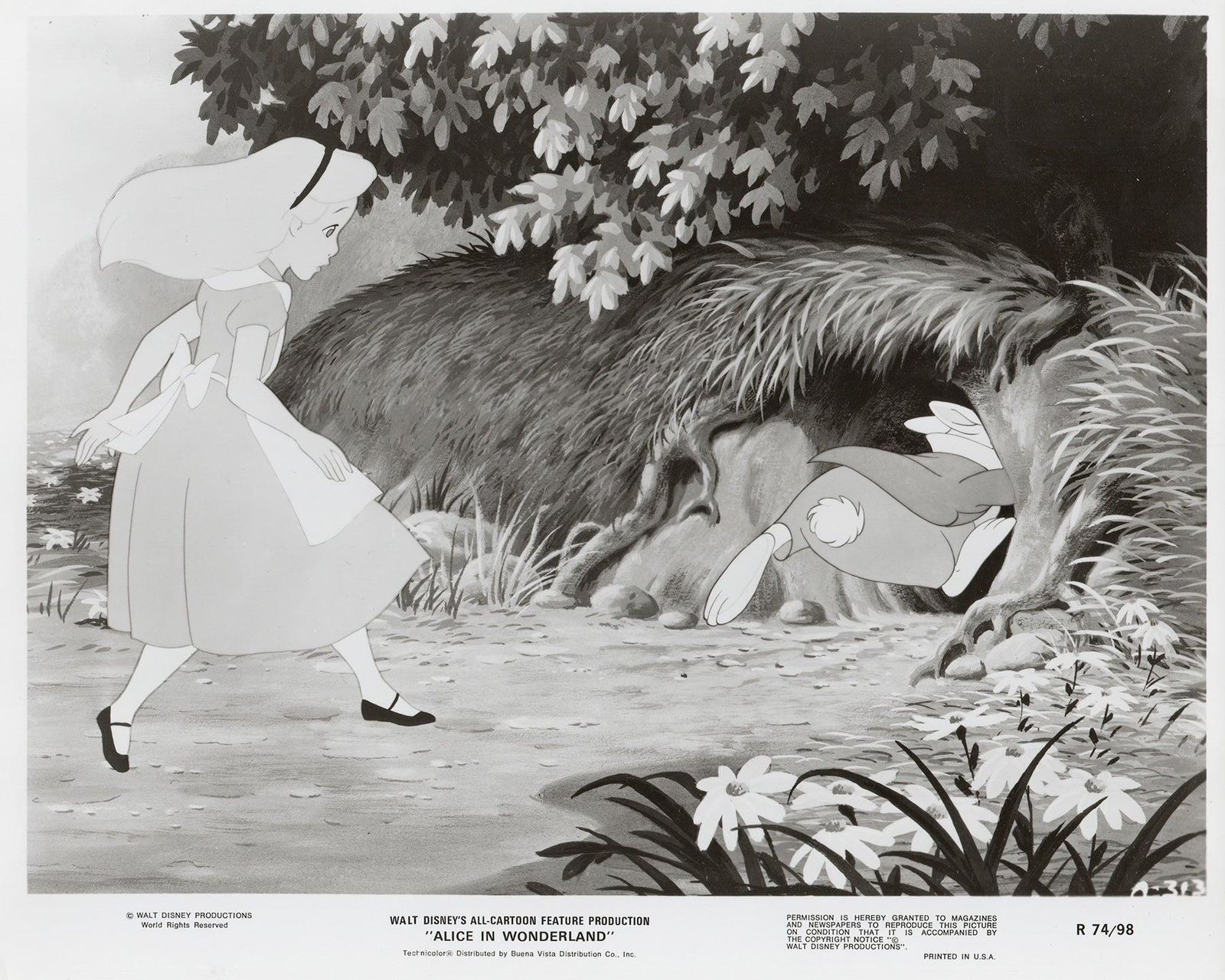 Alice In Wonderland (1951) Press Publicity Still   Framed photo vinterior