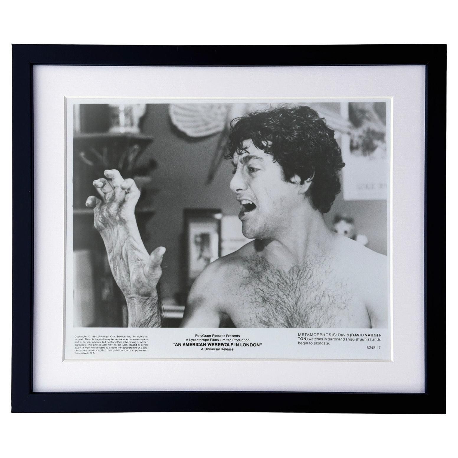 An American Werewolf In London (1981) Press Publicity Still   Framed