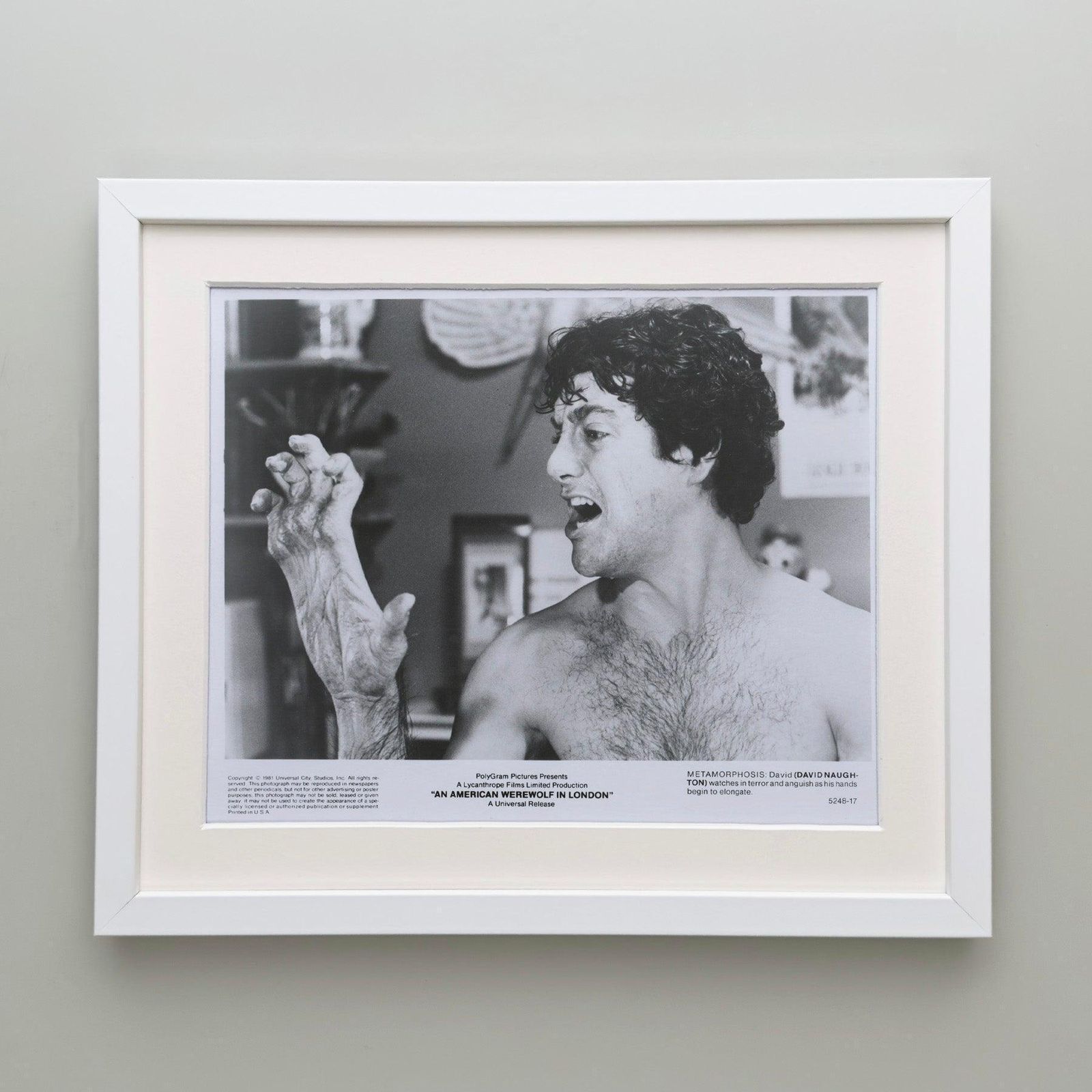 An American Werewolf In London (1981) Press Publicity Still   Framed photo Art