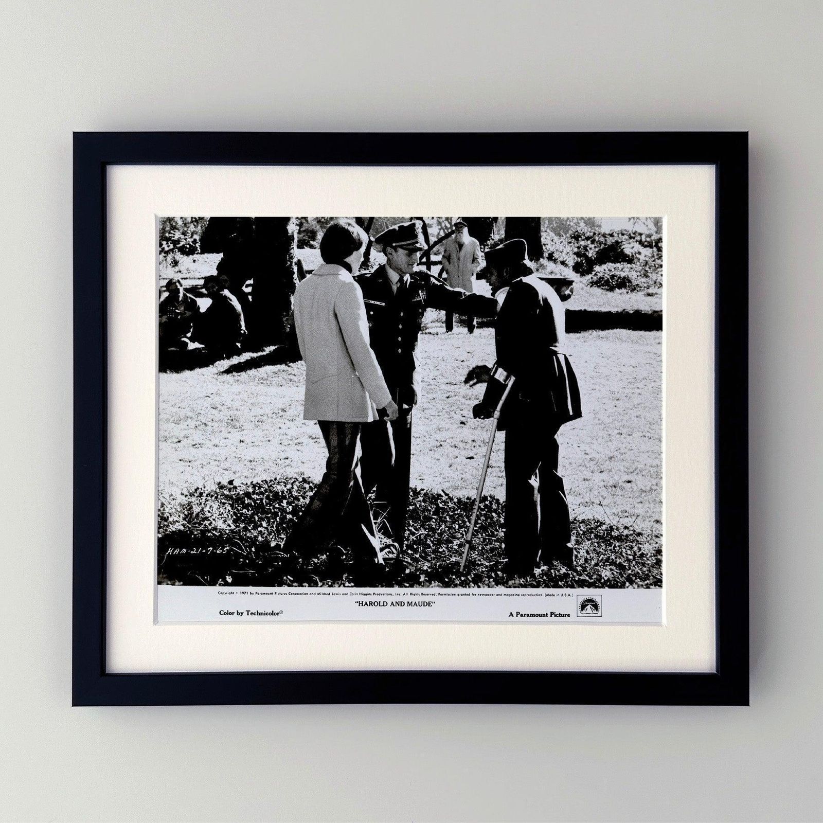 Harold And Maude (1971) Press Publicity Still, ingelijst photo furniture