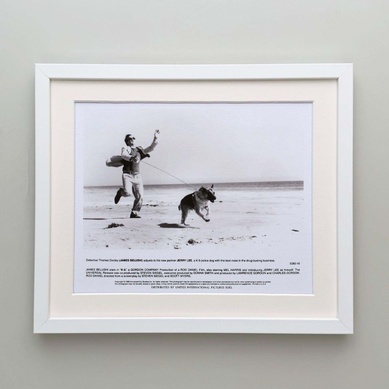 K 9 1989 Press Publicity Still   Framed photo Art