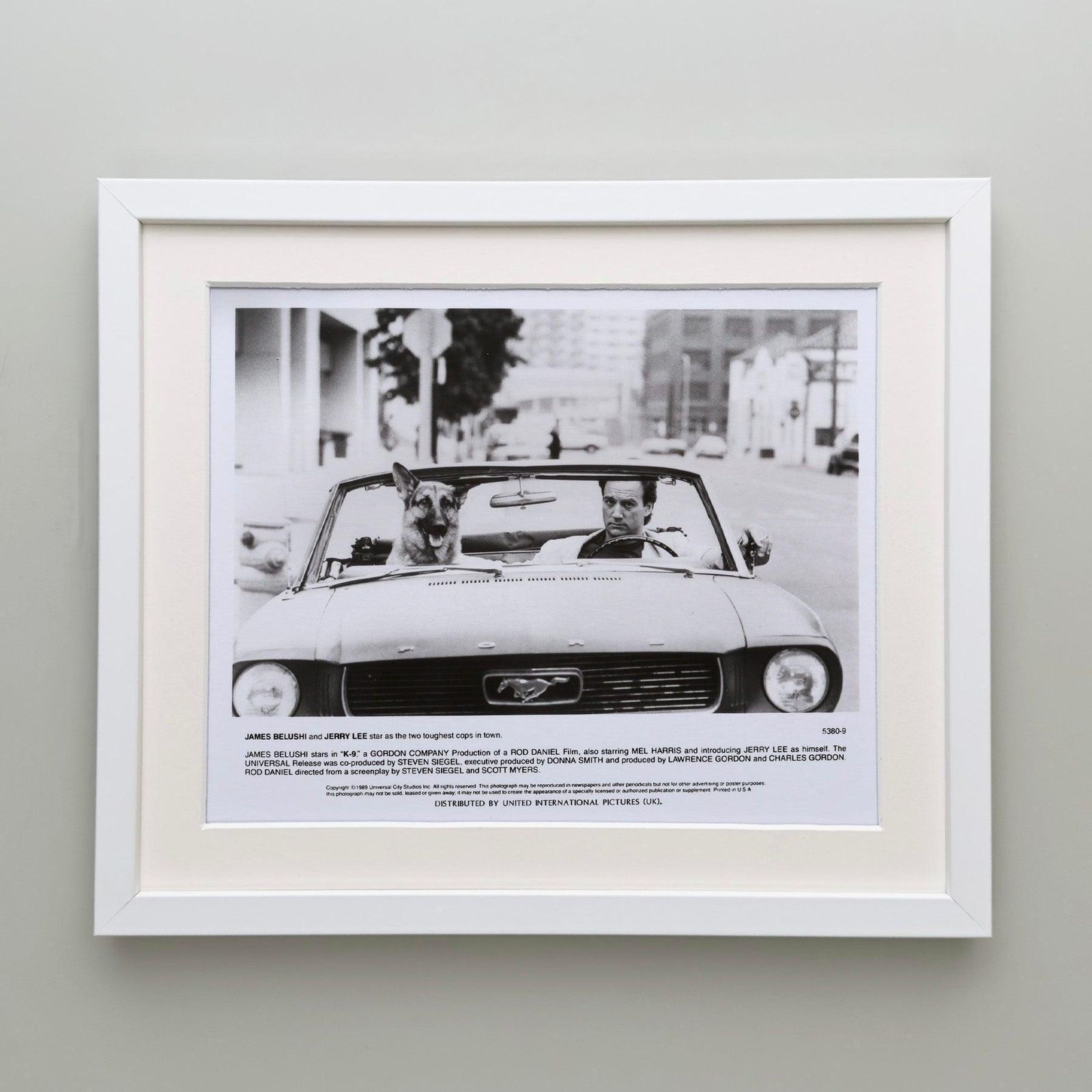 K 9 1989 Press Publicity Still, ingelijst photo Kunst