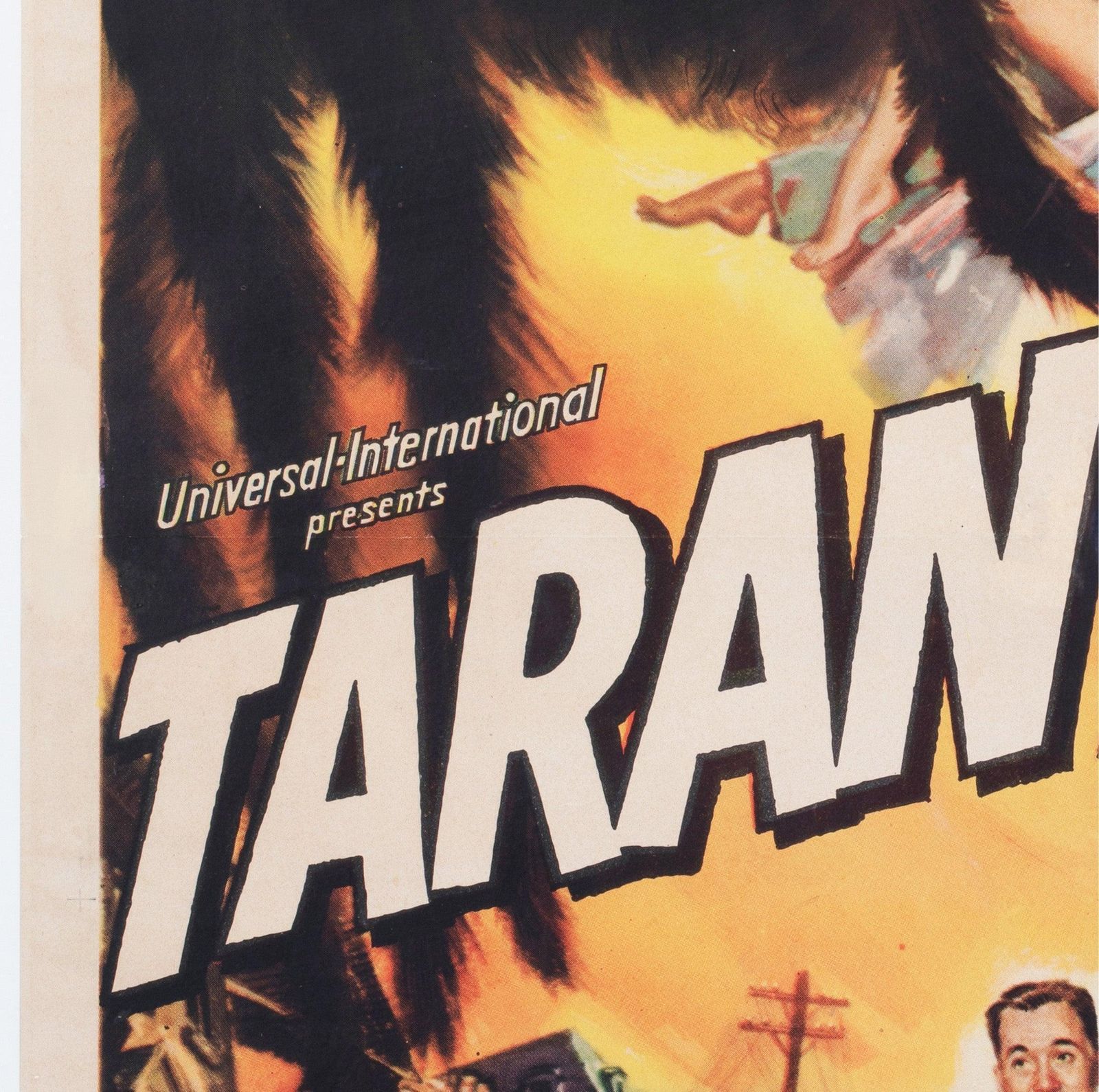 Affiche de cinéma Tarantula, format US 1 Sheet, 1955, par Reynold Brown photo 3444.0