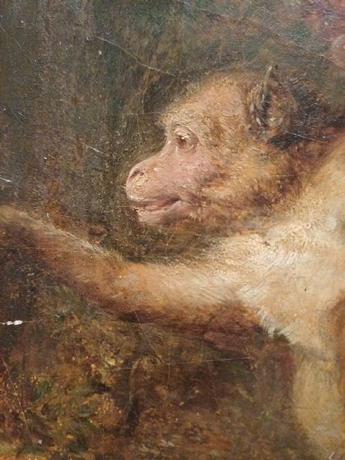 George Lance   Oil Painting Of A Monkey. photo for sale