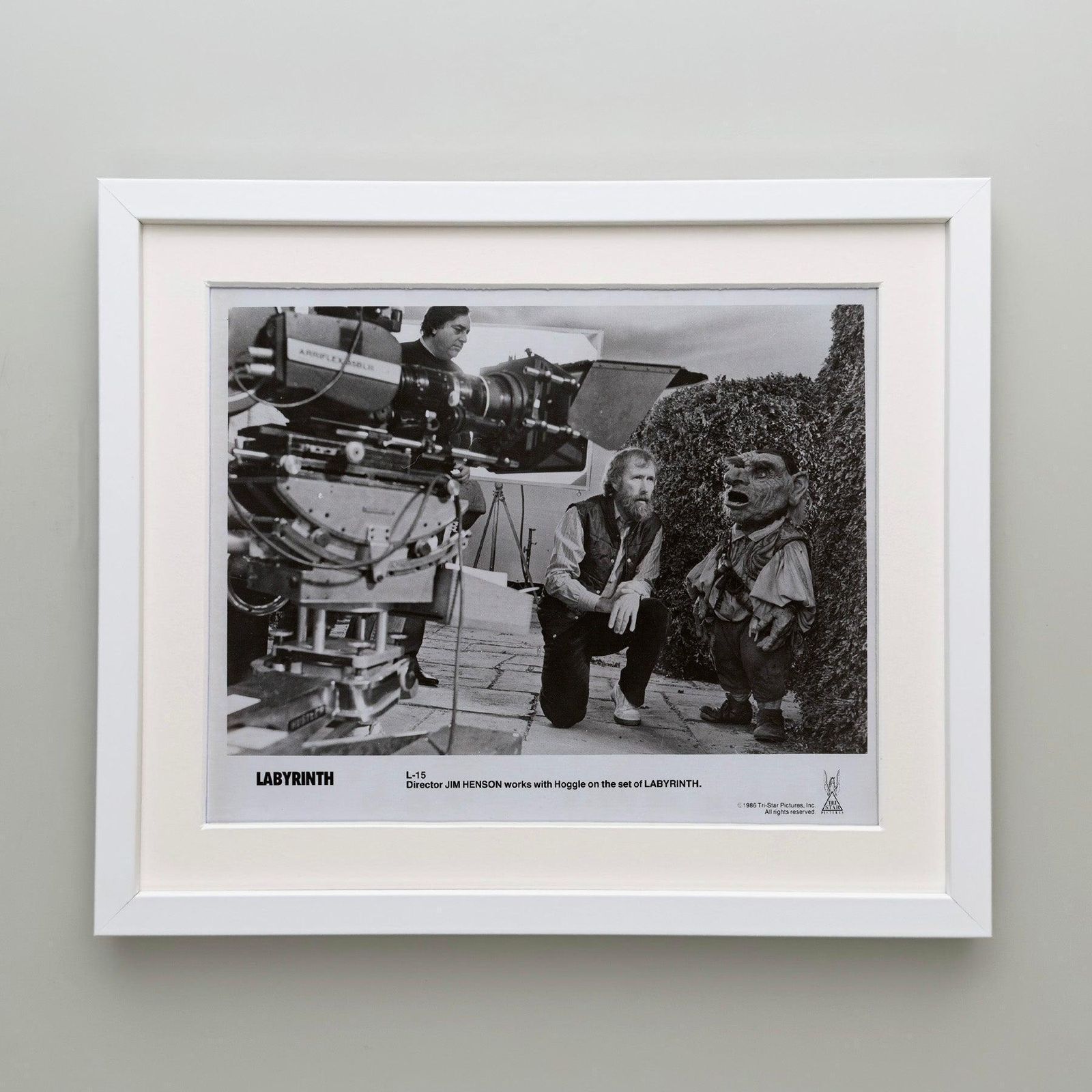 Photo de presse encadrée, Labyrinth, 1986 photo Art