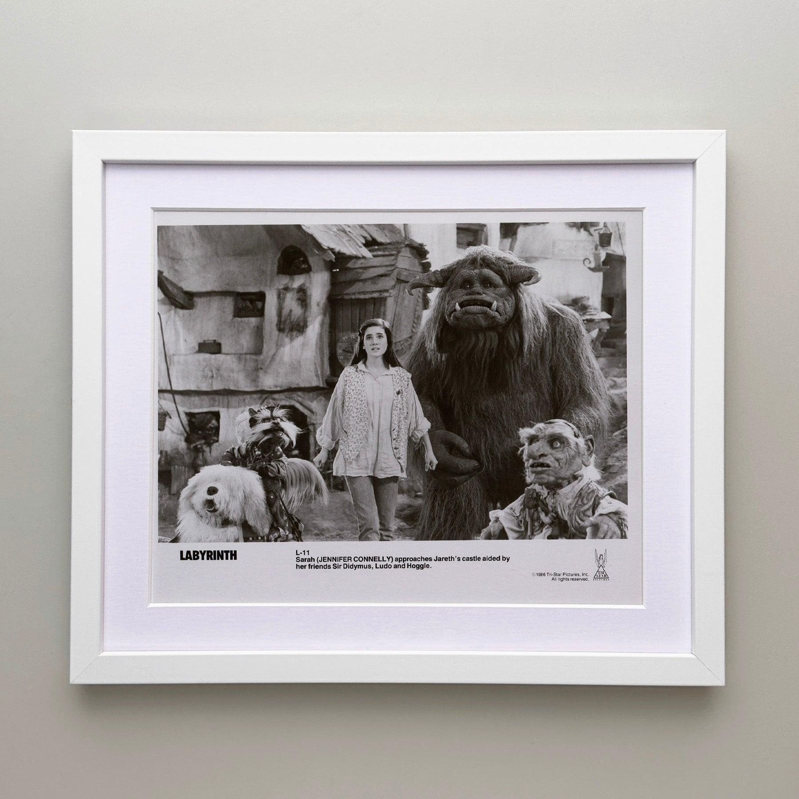 Photo de presse encadrée, Labyrinth, 1986 photo for sale