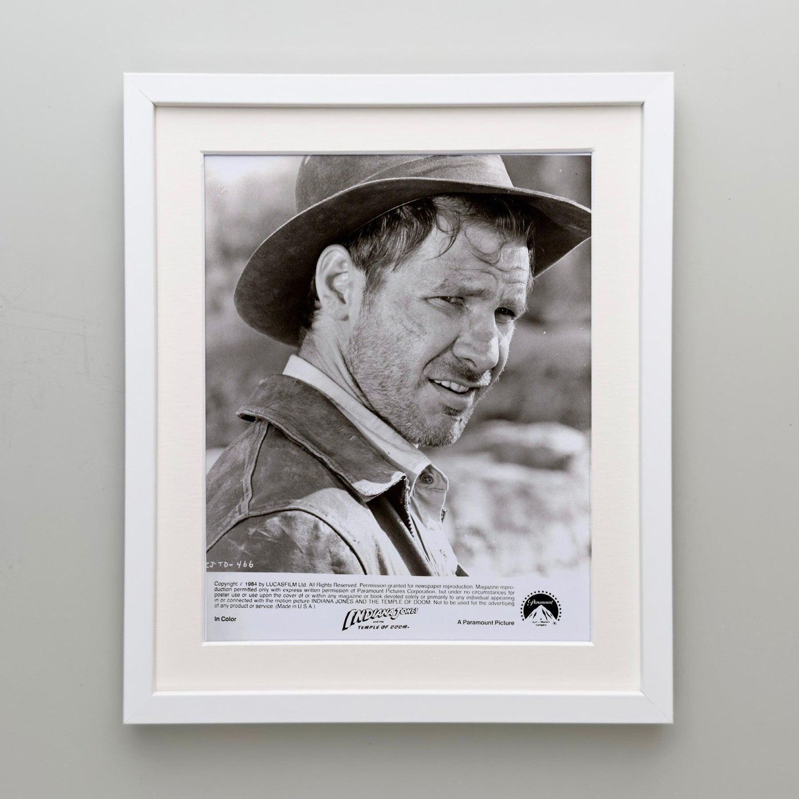 Photographie de presse originale encadrée, Indiana Jones and the Temple of Doom, 1984 photo Art