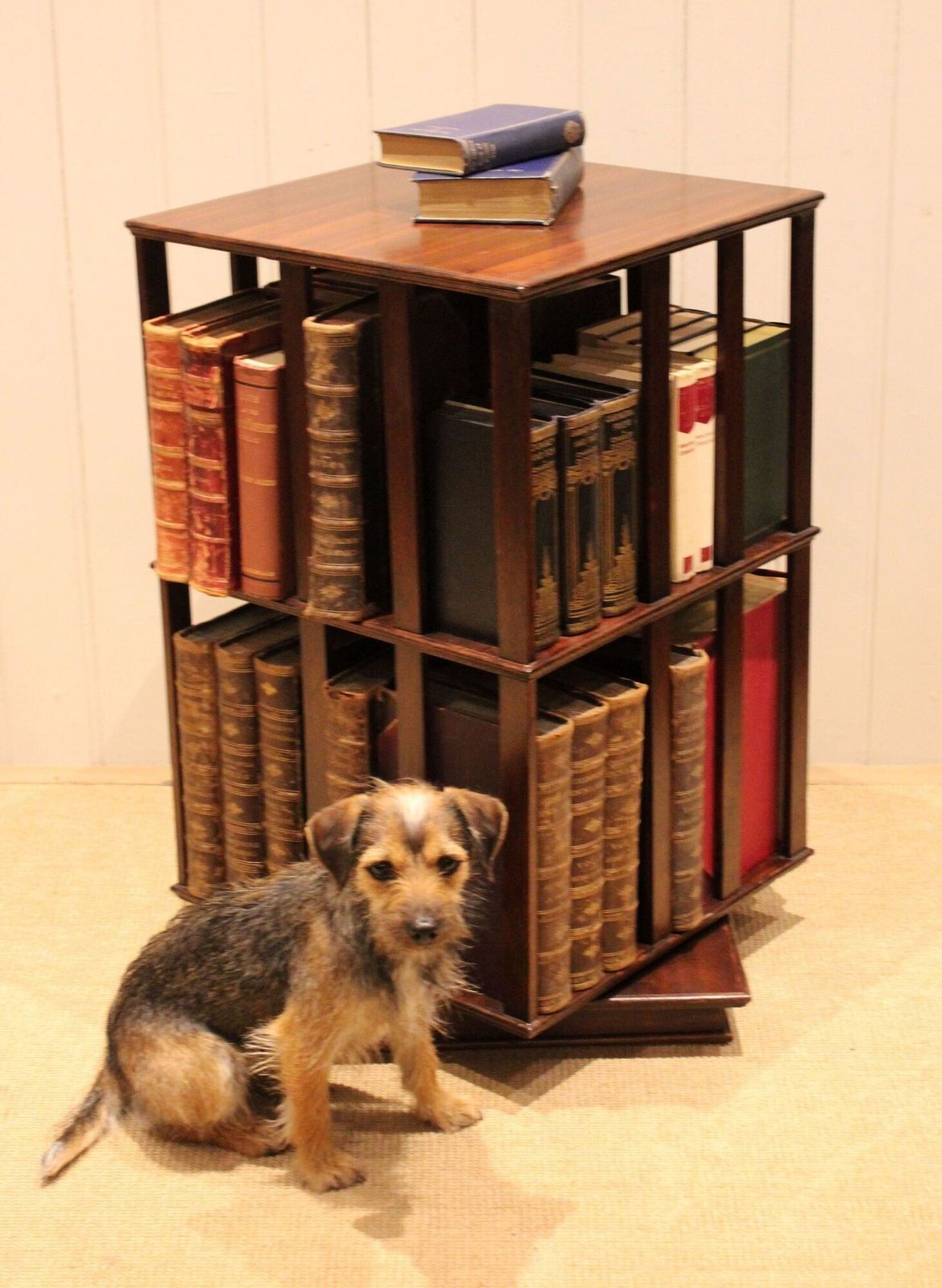 Mahogany Revolving Bookcase photo 385.0