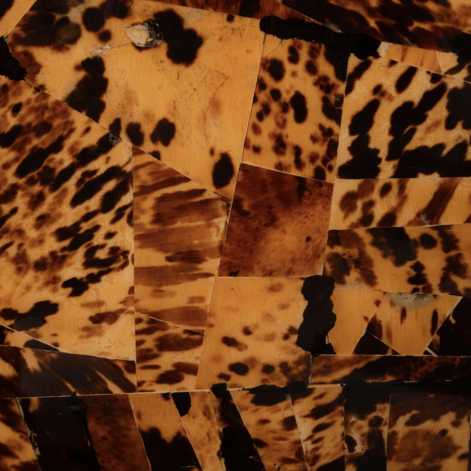 Unique Tortoiseshell Cabinet By Roberto Jodice For Ottini Milano 1974 photo 22663.0