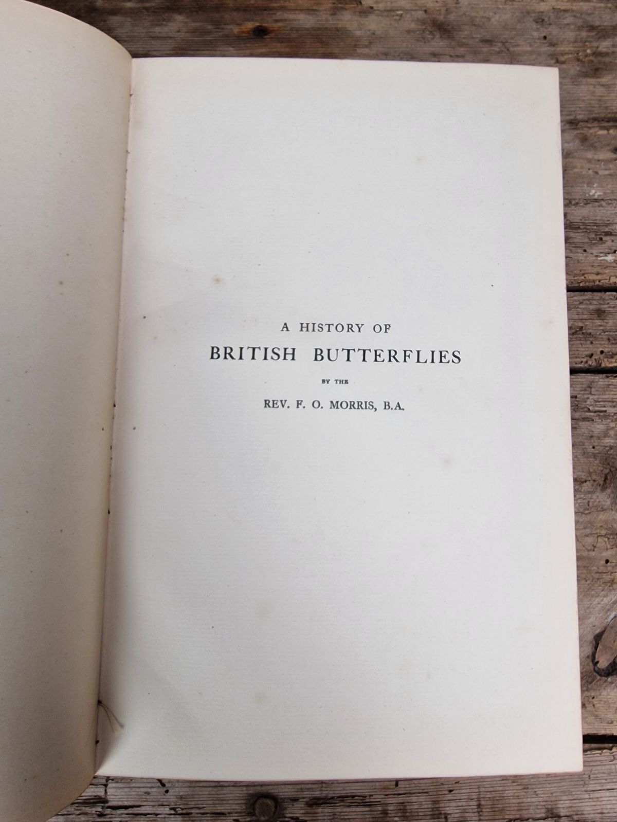A History Of British Butterflies  Morris (Rev. F.O.) photo furniture