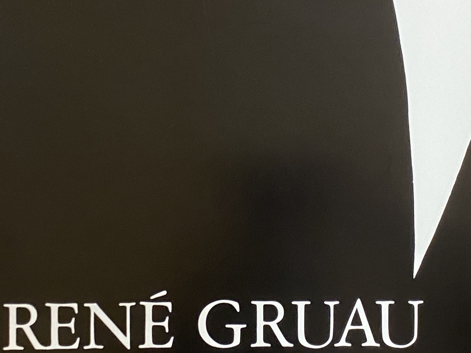 photo vintage René Gruau, 1981   Femme A L'oeillet   Original Poster Printed In Offset Cm 80 X 60