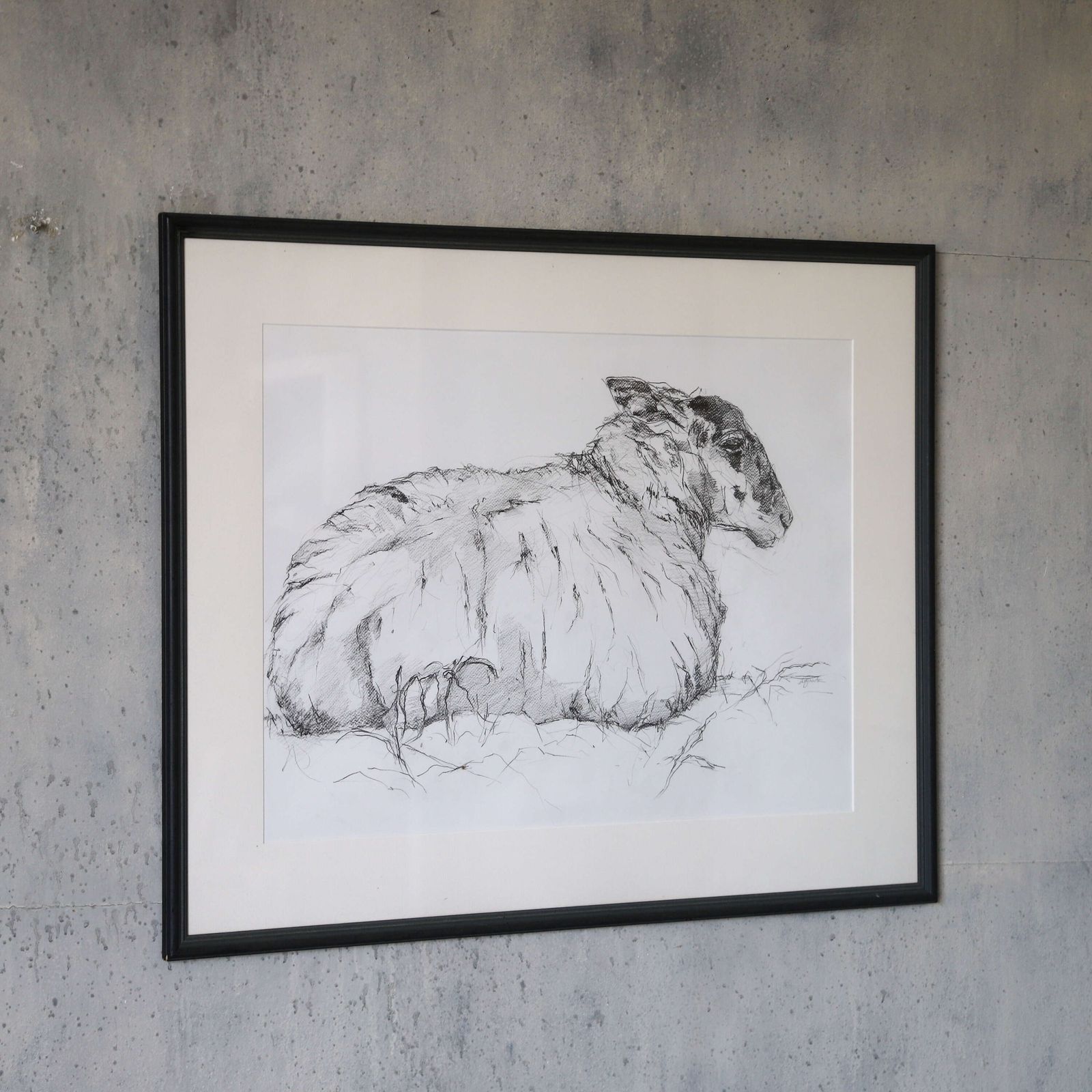Tisbury Sheep   Original Contemporary Pencil Sketch By Sally Newton, Framed Artwork photo Art