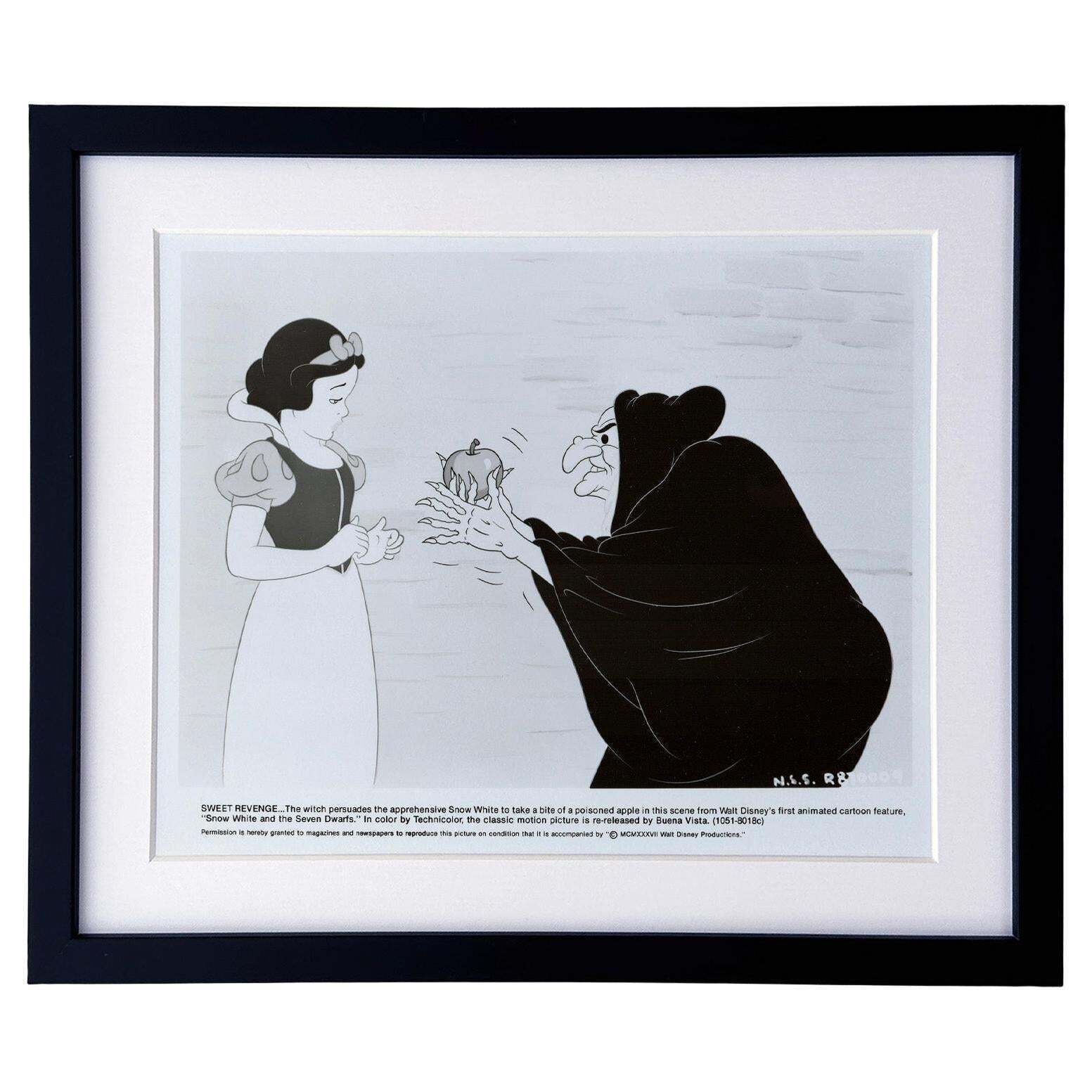 Snow White And The Seven Dwarfs (1937) Press Publicity Still   Framed