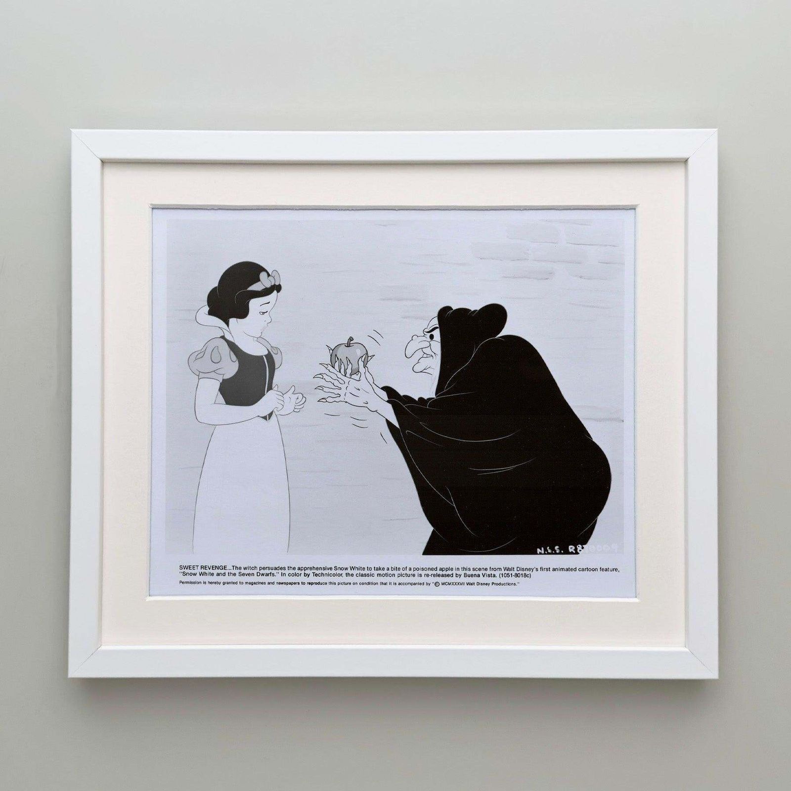 Snow White And The Seven Dwarfs (1937) Press Publicity Still   Framed photo Art