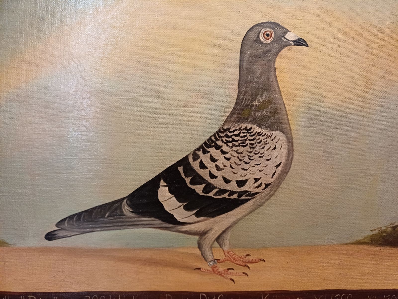 Pair Of Oil Paintings On Canvas By Edward Henry Windred photo buy