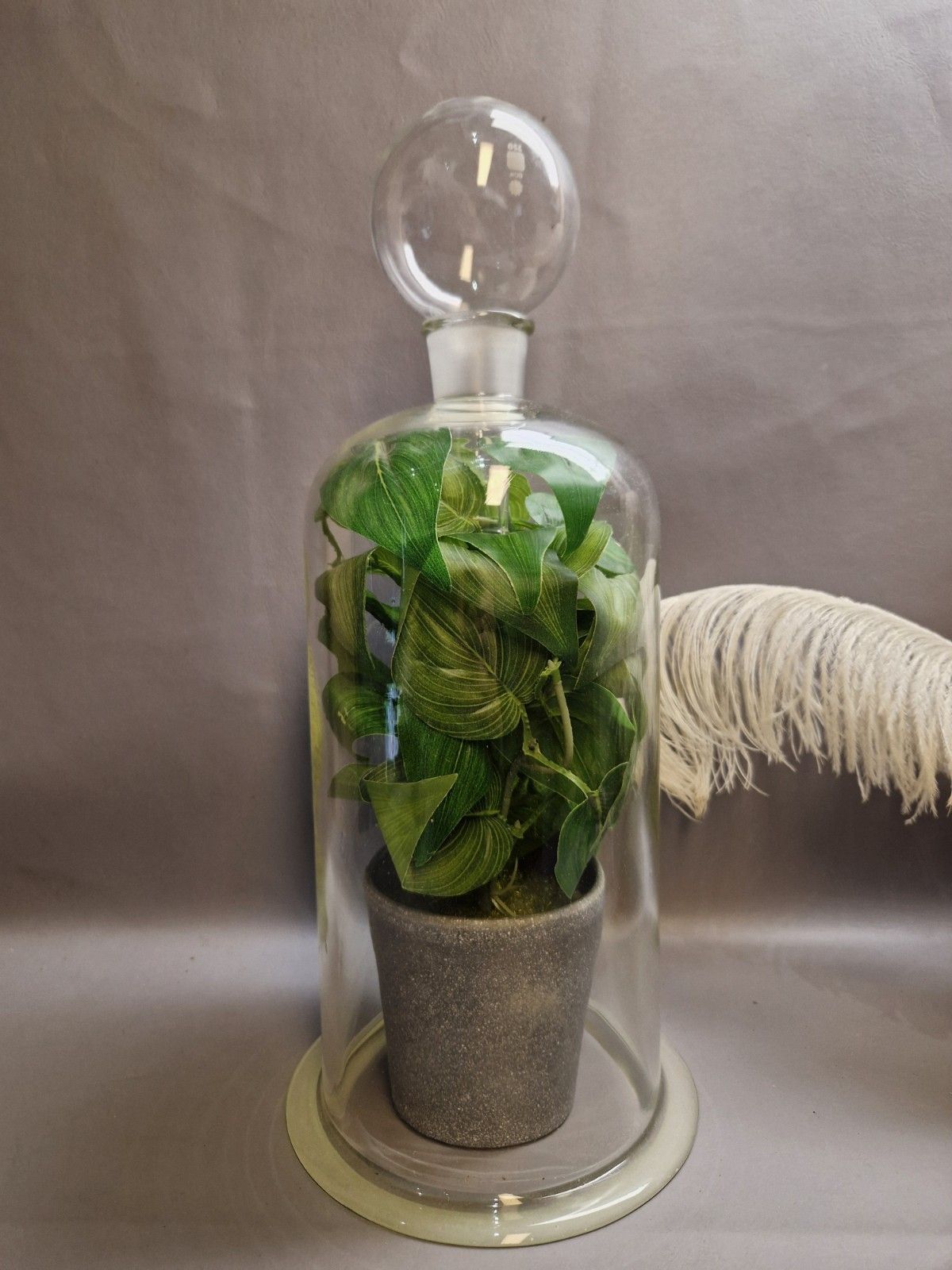 Vintage Pyrex Large Cloche And Stopper Plant Greenhouse Display Heavy Glass photo furniture