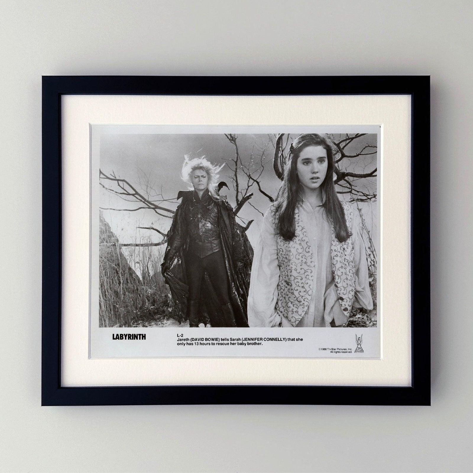 Photo de presse encadrée, Labyrinth, 1986 photo furniture