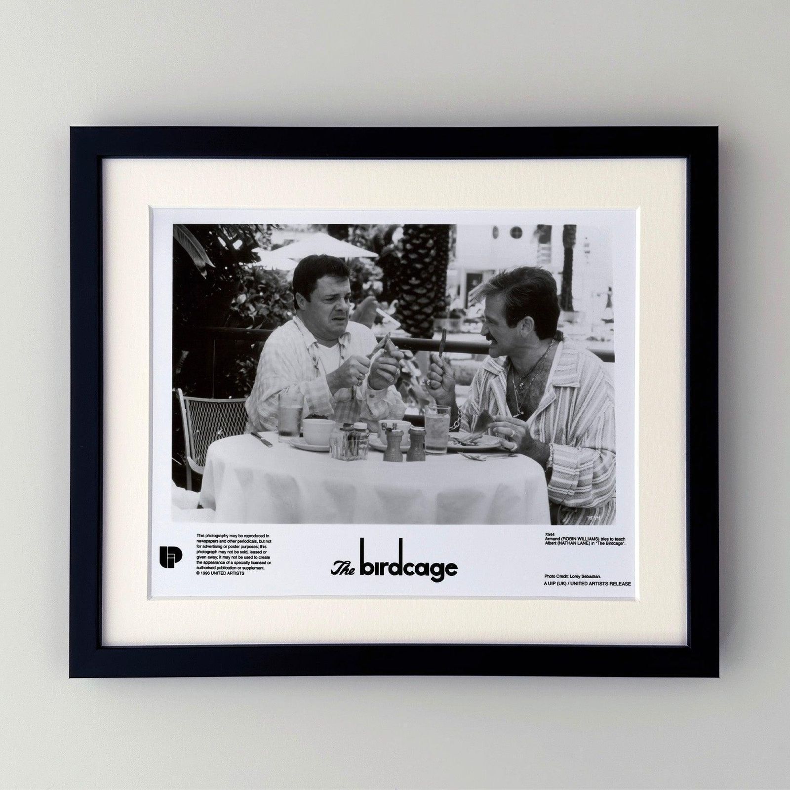Photo de presse encadrée, The Birdcage, 1996 photo furniture