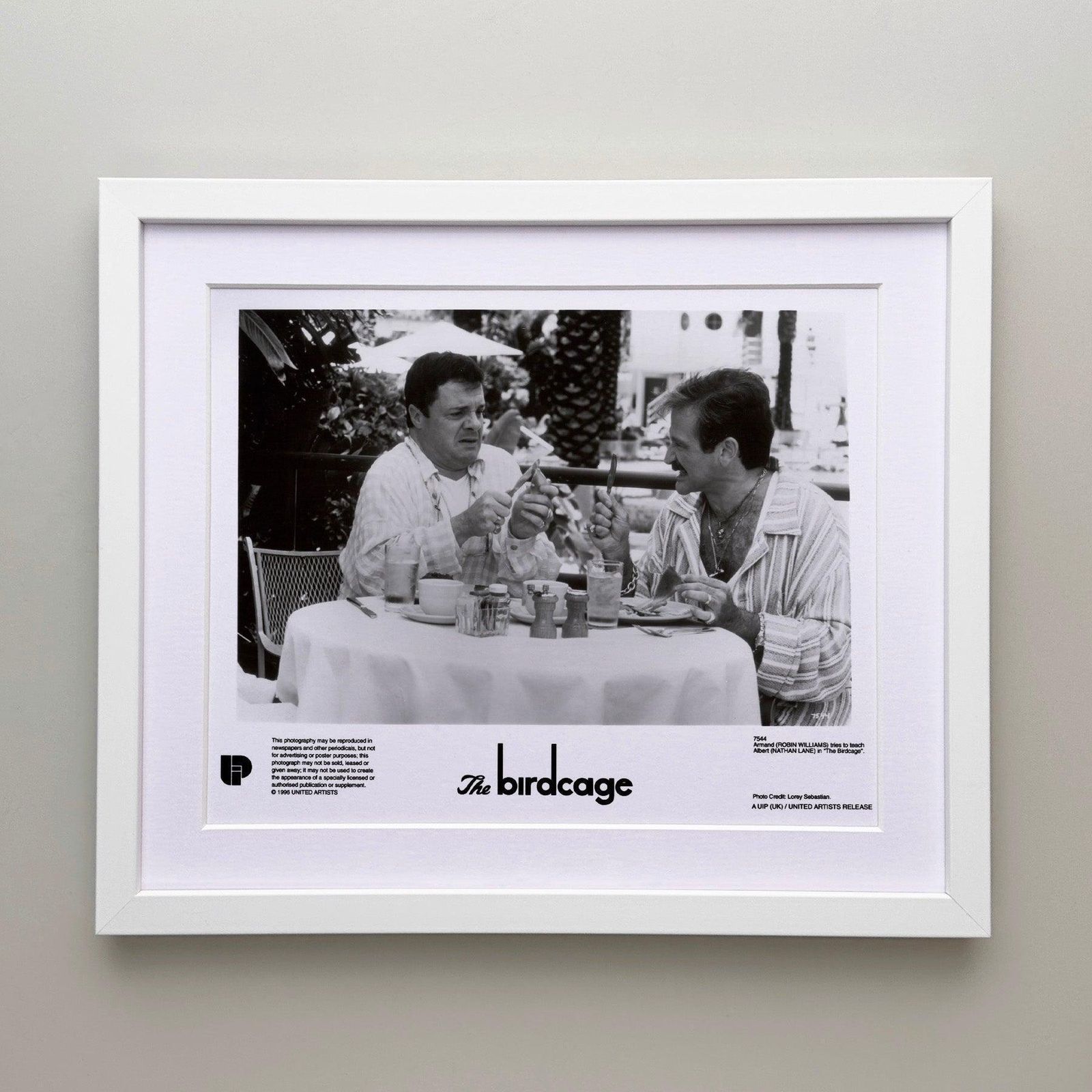 Photo de presse encadrée, The Birdcage, 1996 photo for sale