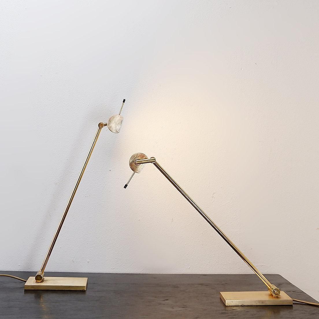 Pair Of Vintage Brass Articulated Desk Lamps   Stéphane Davidts, Belgium photo Lighting