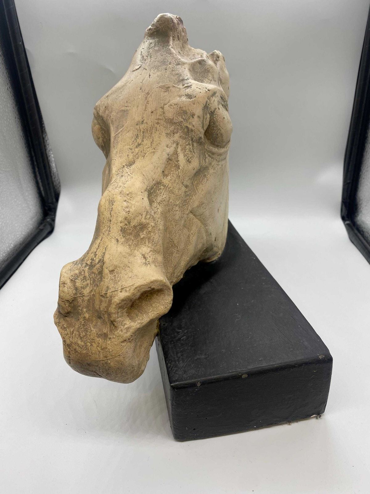Vintage Museum Quality Reproduction Of The Horse Of Selene, From The Elgin Marbles photo Art