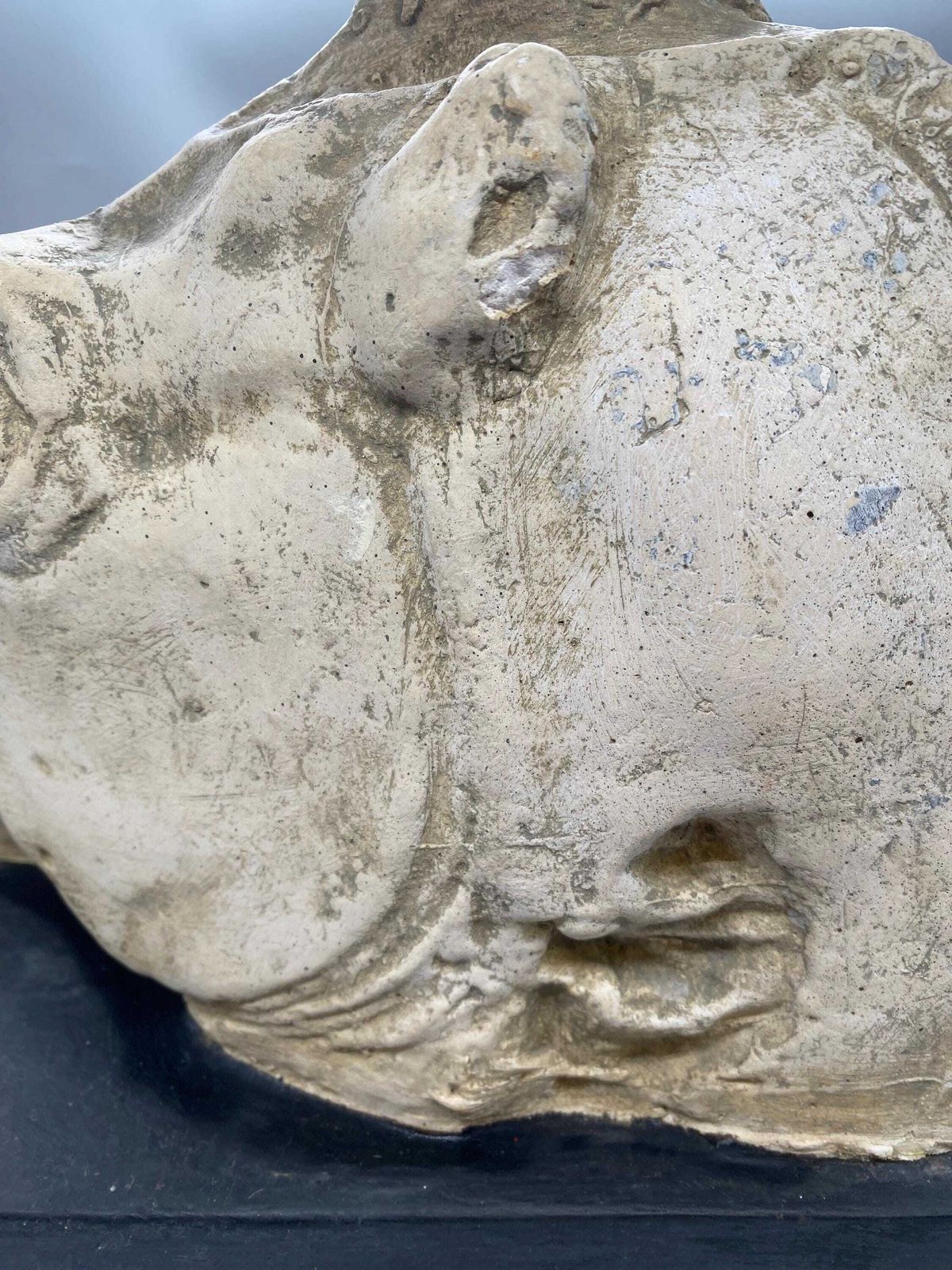 Vintage Museum Quality Reproduction Of The Horse Of Selene, From The Elgin Marbles photo vintage