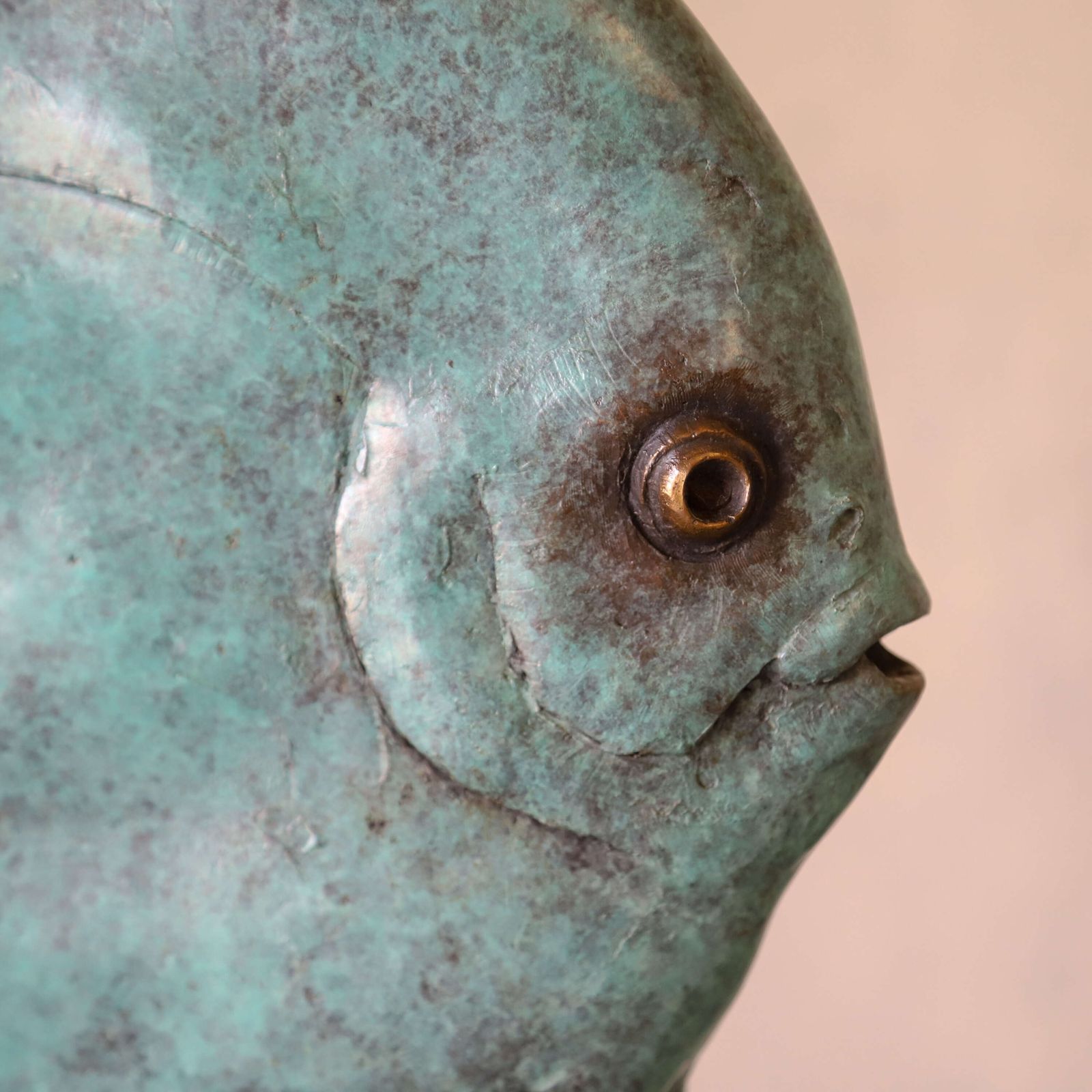 Young Longfin Batfish   Fine Art Bronze By Andrzej Szymczyk, Limited Edition 2/12 photo Art