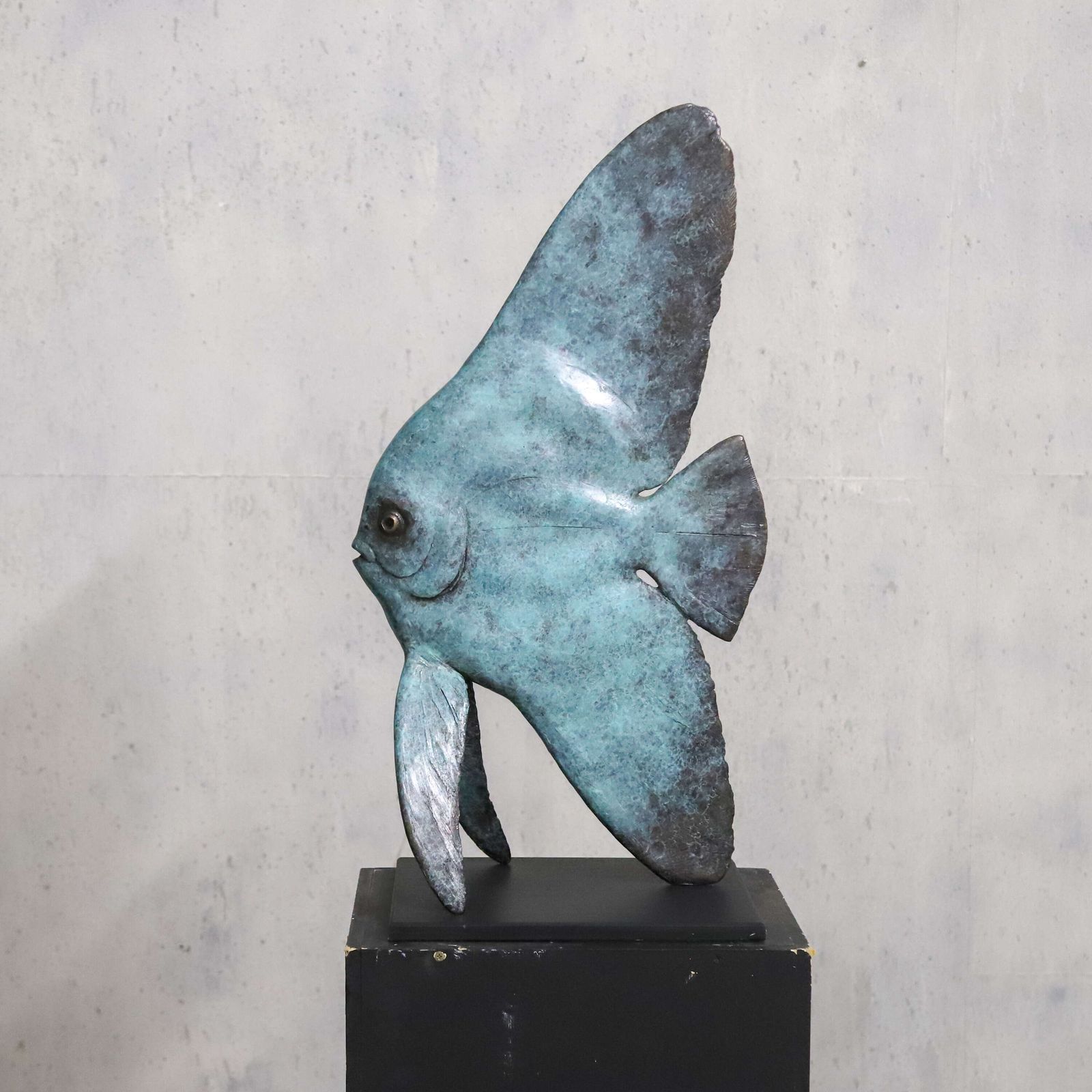 9250.0 Young Longfin Batfish   Fine Art Bronze By Andrzej Szymczyk, Limited Edition 2/12 photo