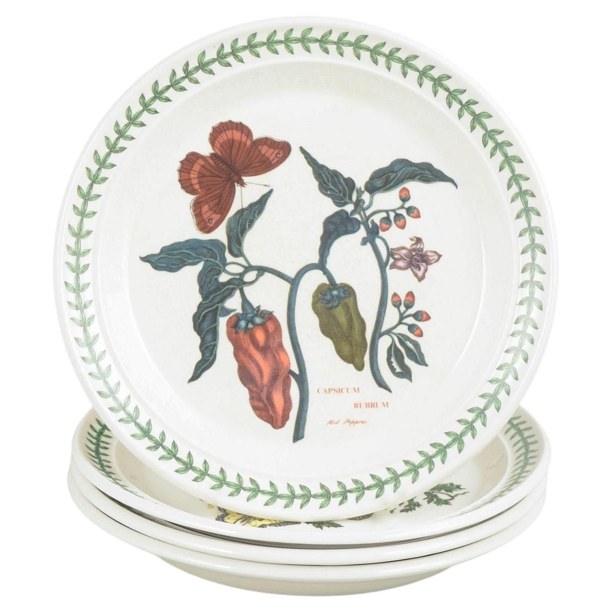 Portmeirion England. Set Of 4 Faience Lunch Plates. "The Botanic Garden" Series