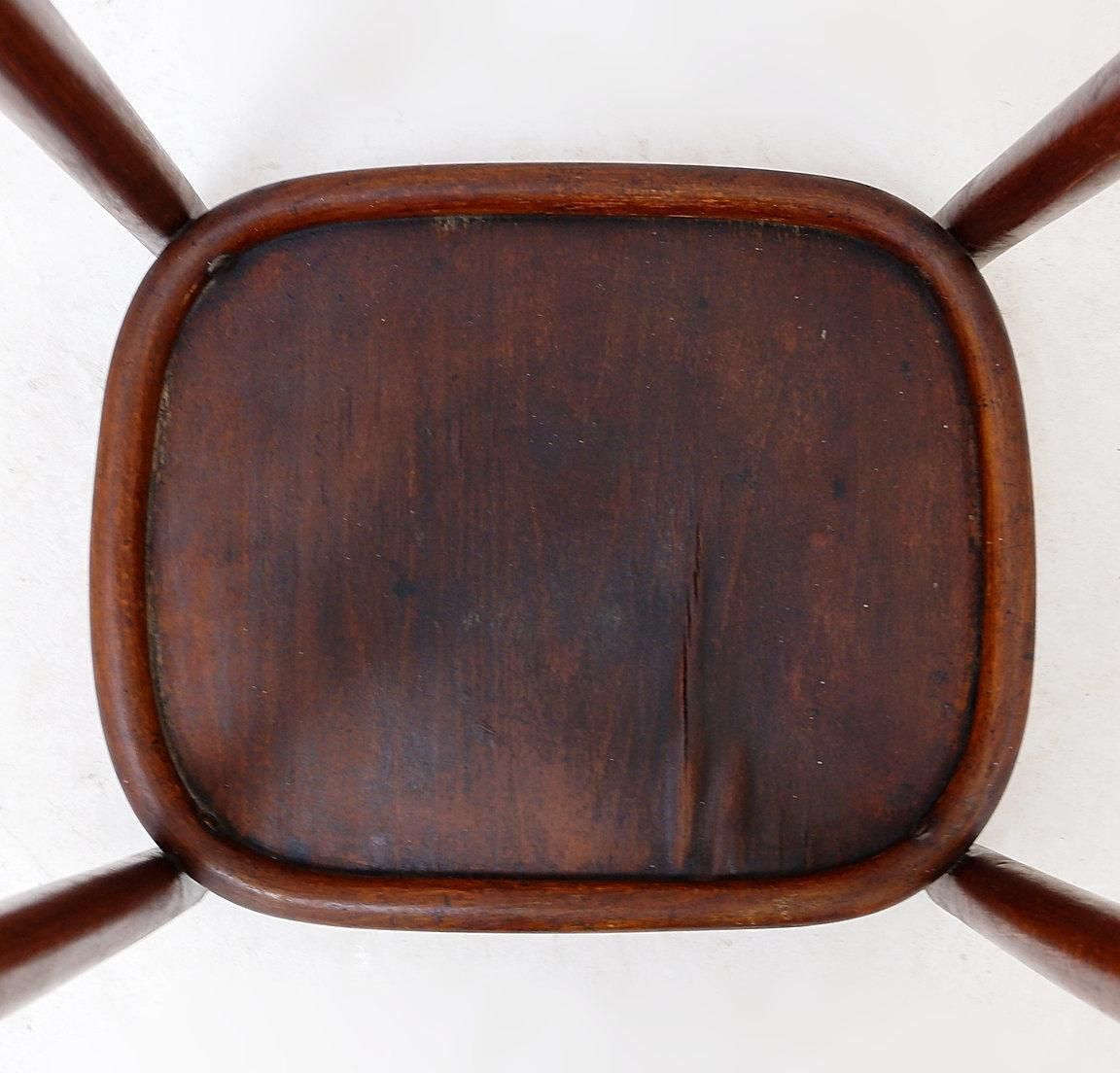 Bentwood Pedestal   Flower Stand Attributed To Jacob & Josef Kohn, 1890s photo vinterior