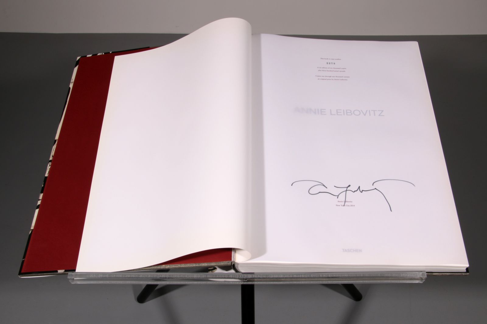 Annie Leibovitz X Keith Haring Sumo – Signed Limited Collector’s photo vinterior