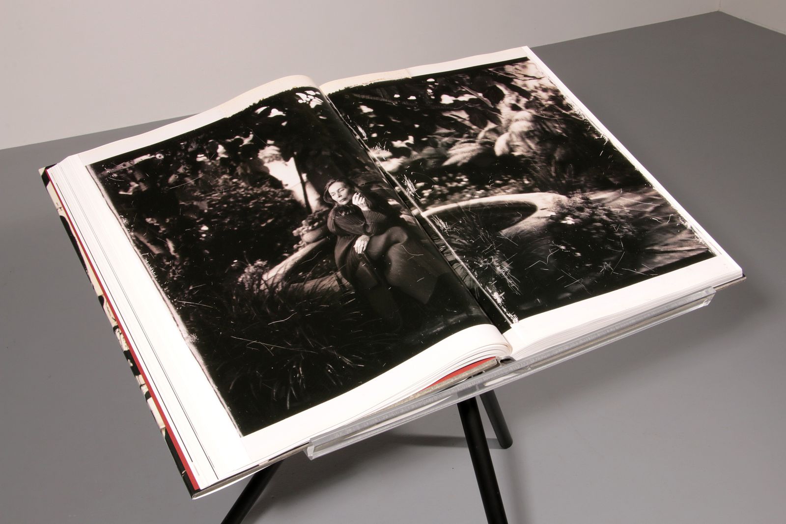 photo furniture Annie Leibovitz X Keith Haring Sumo – Signed Limited Collector’s