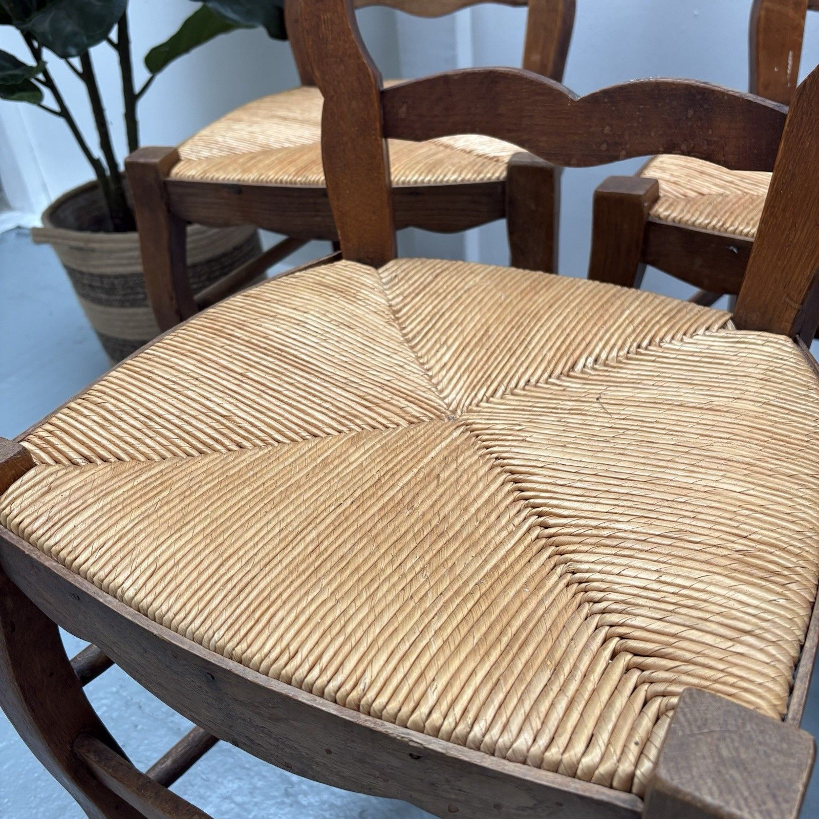 Furniture 5 Vintage French Farmhouse Country ´Van Gogh’ Ladderback Rush Seat Dining Chairs photo