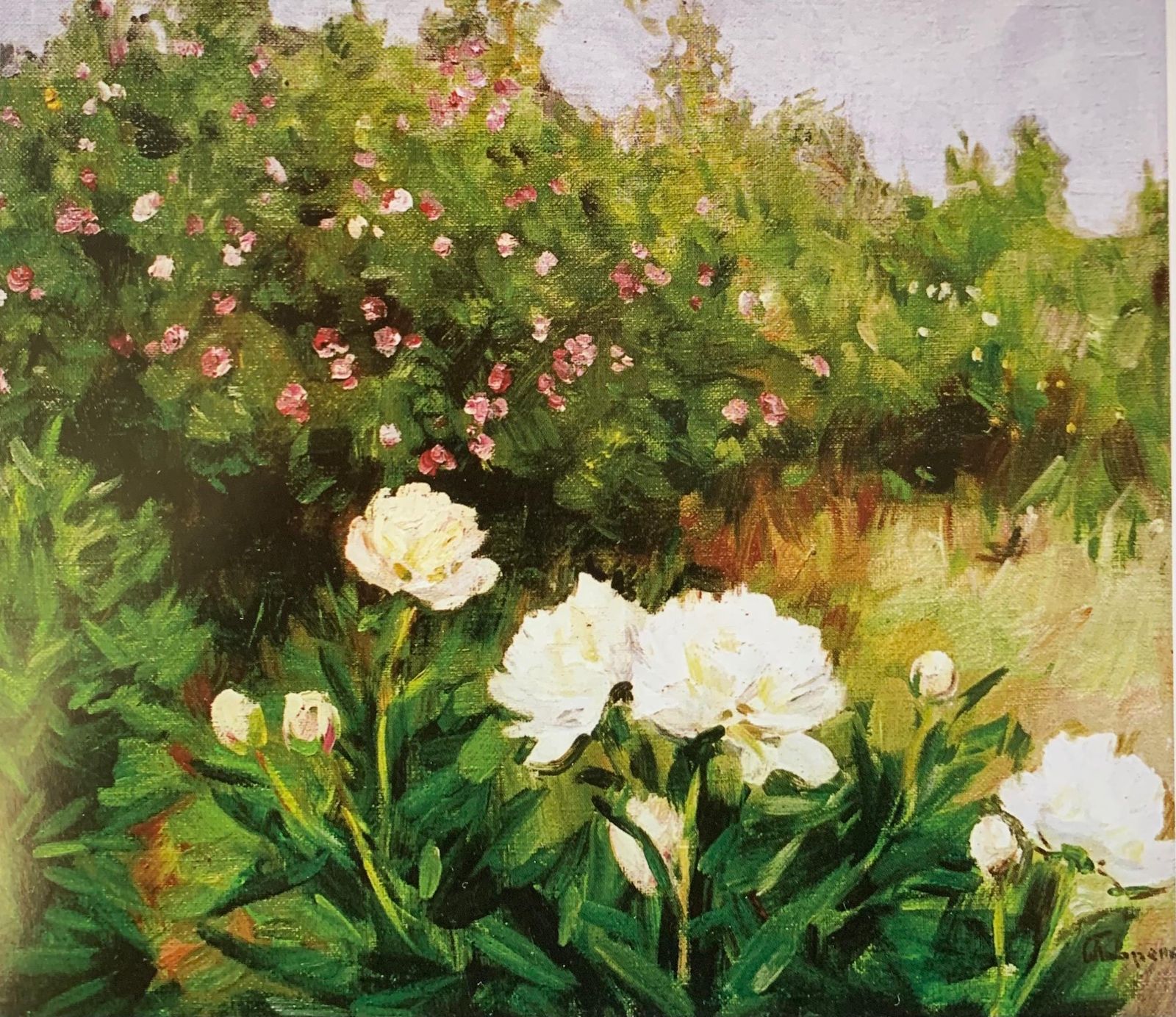 Boris Lavrenko "White Peonies" Oil Cm. 70 X 60 1980 1980 photo Art