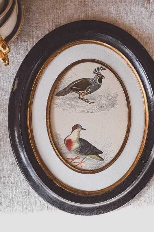Pair Antique Napoleon III Oval Frames Bird Prints Black Gold Wood 19th Century Wall Decor photo buy
