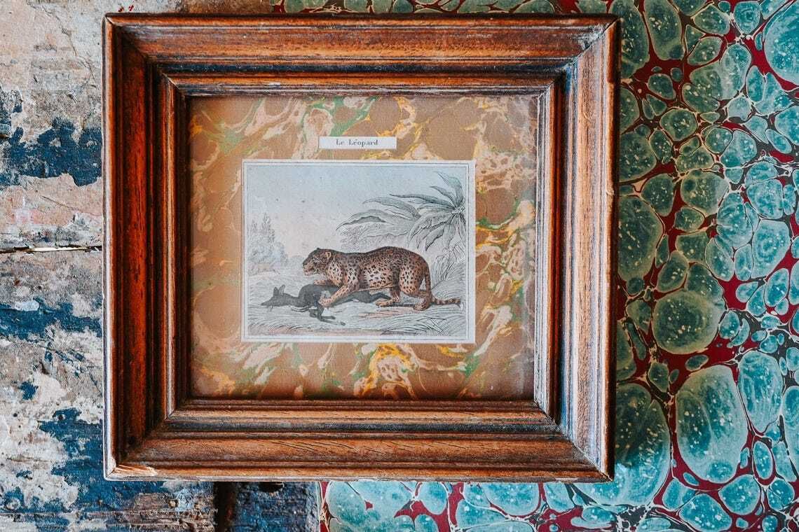 Antique French Natural History Prints Framed Marbled Paper 19th Century Animal Wall Art photo furniture
