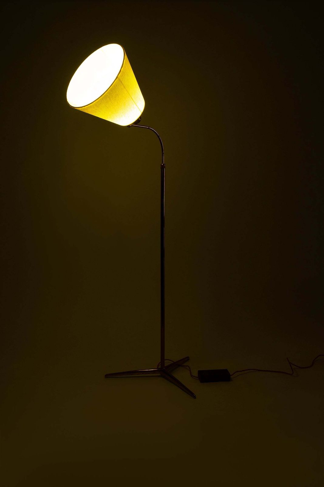 Bag Turgi, Floor Lamp, 50s, 1950s photo for sale