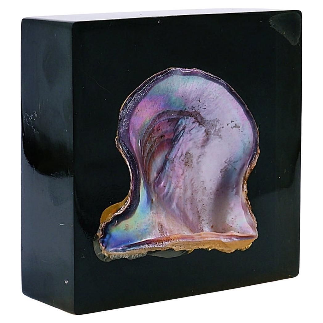 Pierre Giraudon Inclusion Of Pearl Oyster Shell   20th