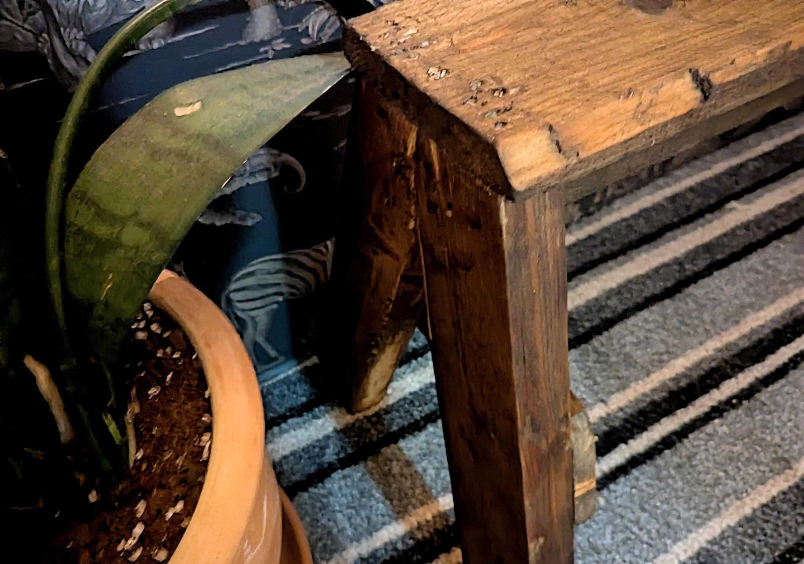 Handmade Rustic Reclaimed Timber Bench, Saw Horse, Garden Decor photo 199.0