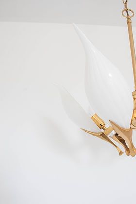 Franco Luce Chandelier, 1970s photo vinterior