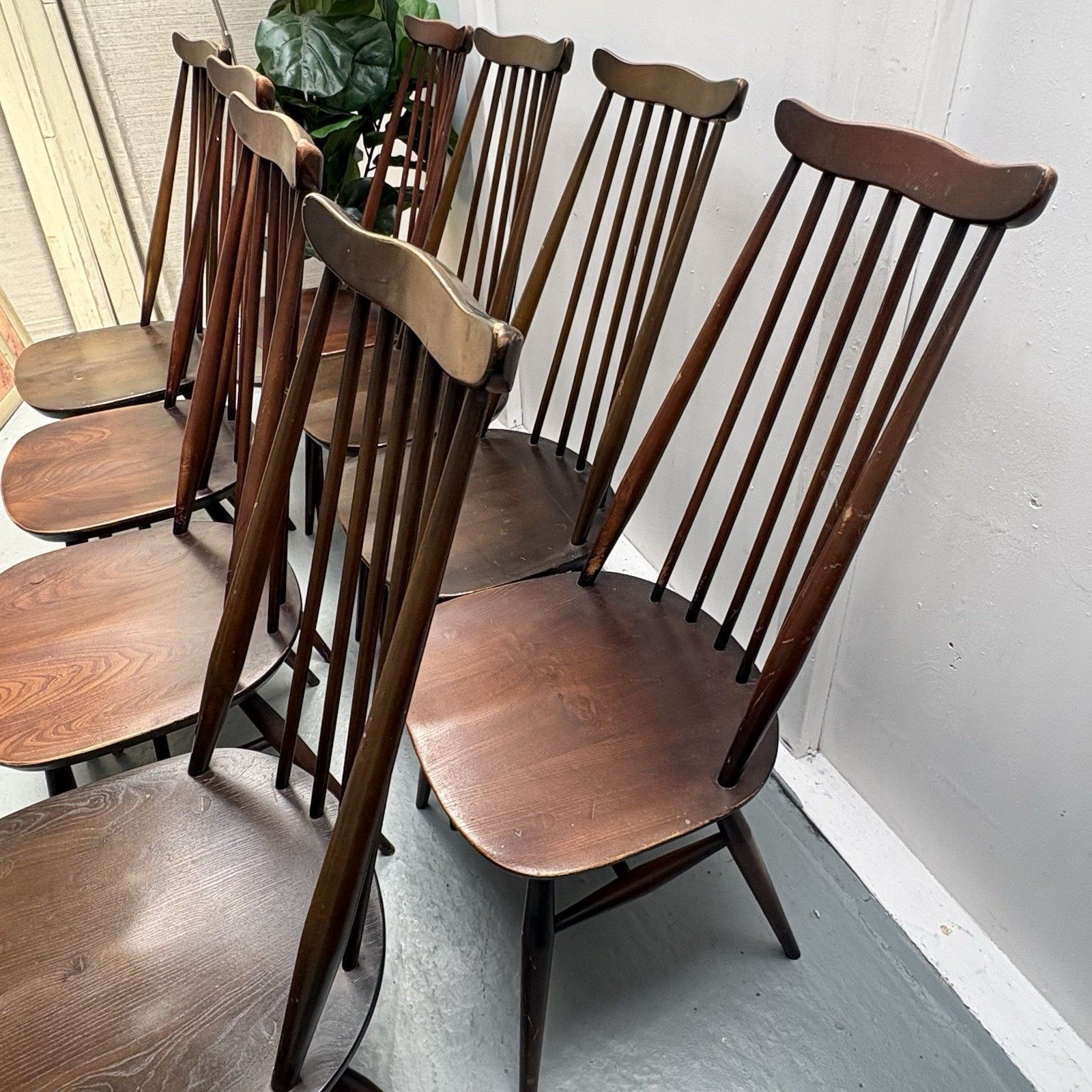 8 Vintage Blue Label Ercol Model 369 Windsor Goldsmith Dark Finish Dining Chairs photo Furniture