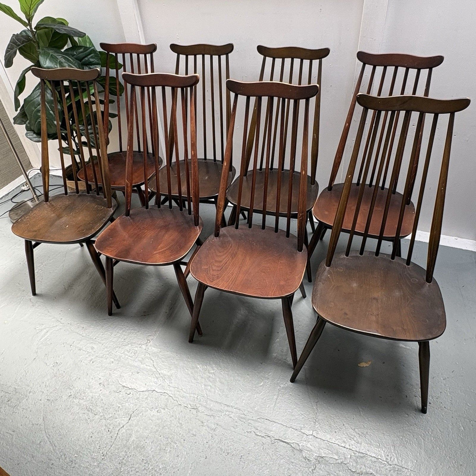 8 Vintage Blue Label Ercol Model 369 Windsor Goldsmith Dark Finish Dining Chairs photo 480.0