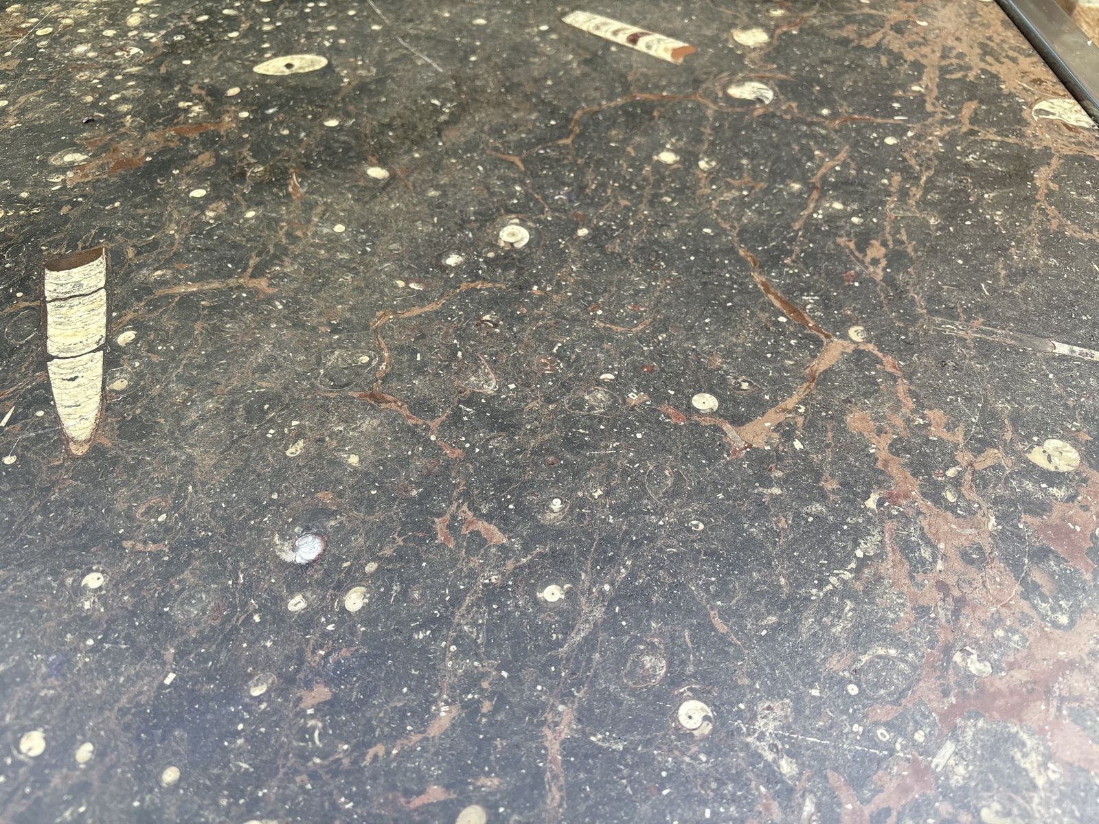 Vintage 1970s Inlaid Fossils + Steel Coffee Table   Style Of Ronald Schmitt photo Furniture