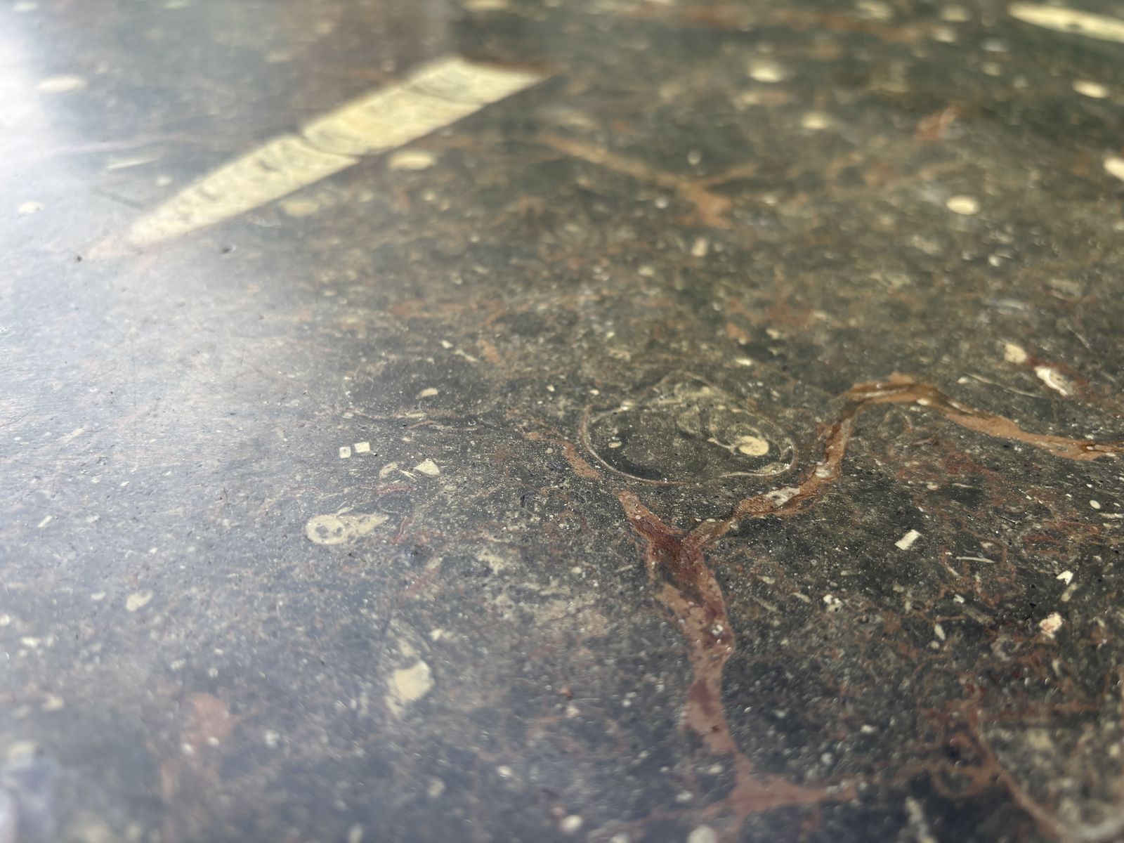 photo vinterior Vintage 1970s Inlaid Fossils + Steel Coffee Table   Style Of Ronald Schmitt