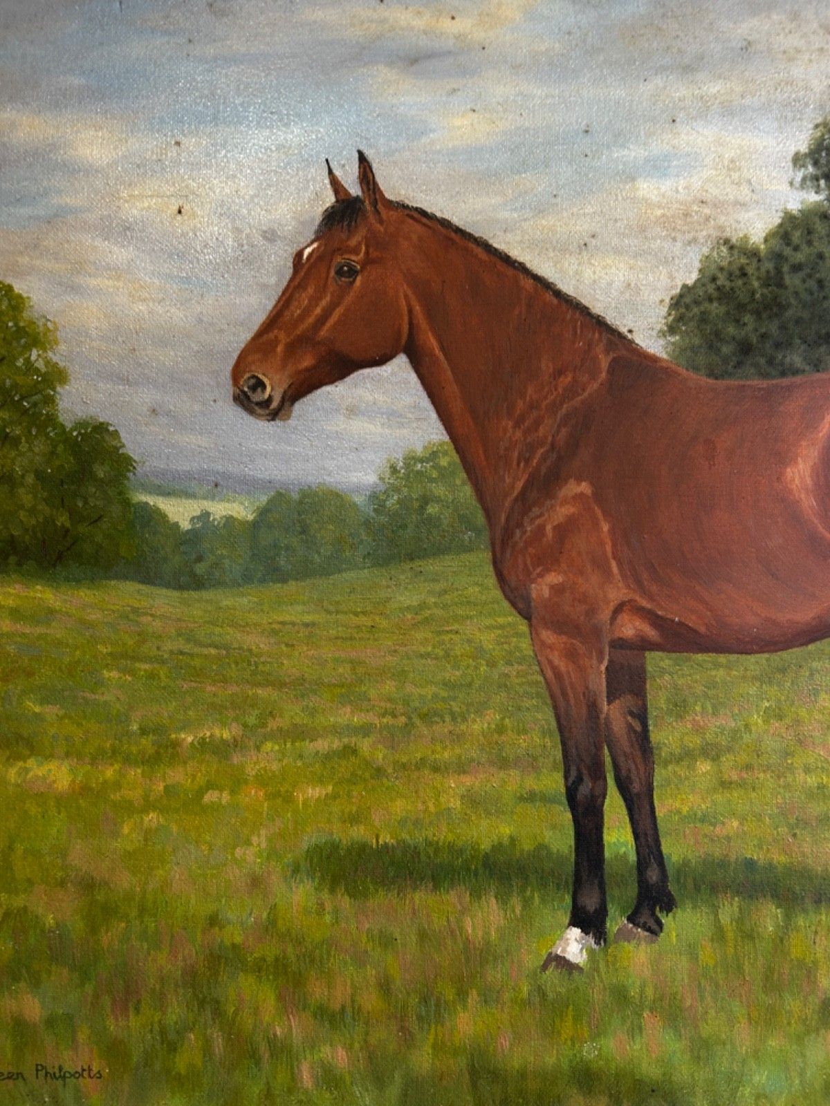Oil On Canvas  Horse  Mid Century Signed Framed 1960/70's Portrait Landscape photo Art