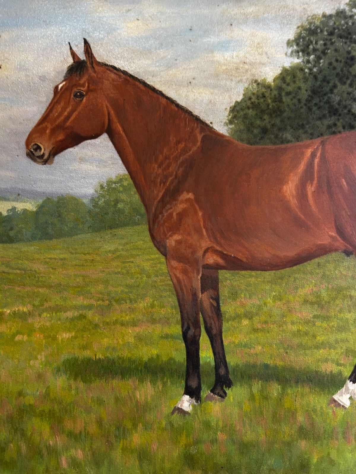 Oil On Canvas  Horse  Mid Century Signed Framed 1960/70's Portrait Landscape photo 105.0