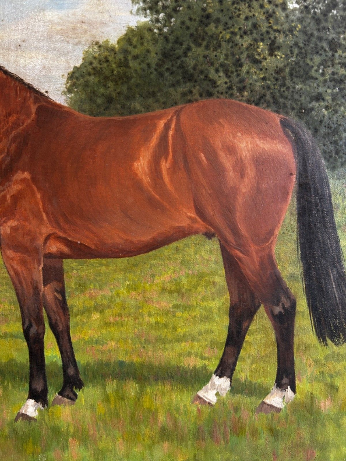 photo for sale Oil On Canvas  Horse  Mid Century Signed Framed 1960/70's Portrait Landscape