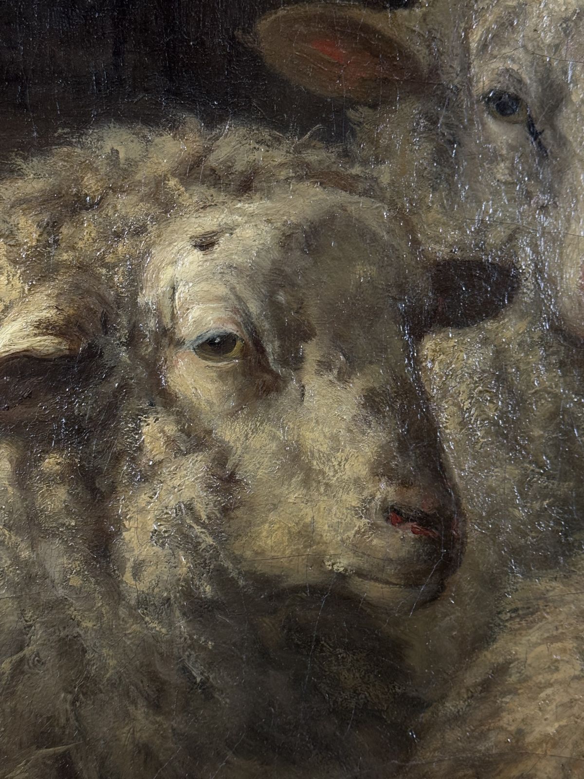 Painting Of Sheep In The Stable By D. Van Lokhorst, 19th Century photo buy
